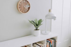 blog 5